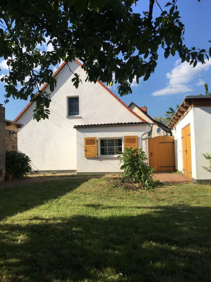 Ferienidyll-Reitwein Villa Екстериор снимка
